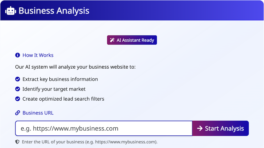 Website Analysis for Lead Generation